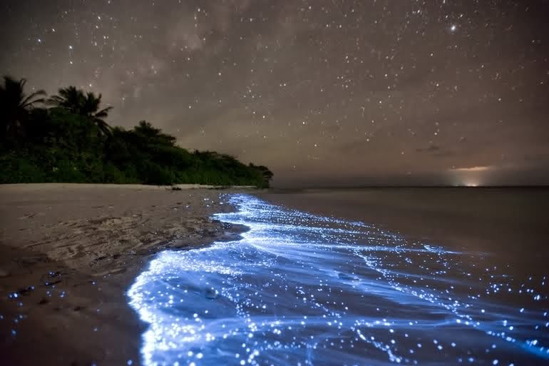 amazing-things-you-didn-t-believe-existed-in-nature-photos