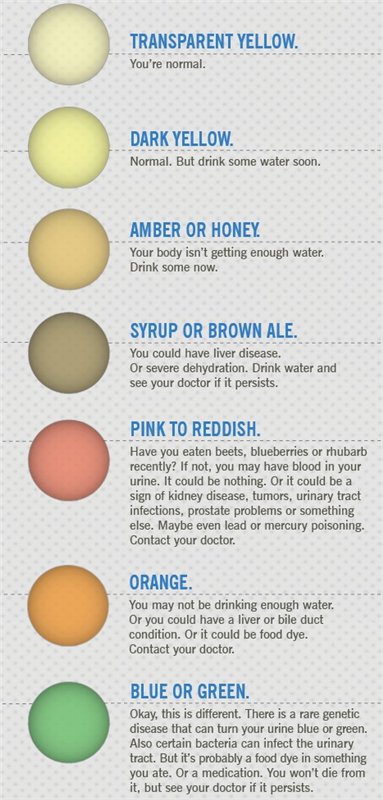 Colors Of Urine And What It Says About Your Body - MojiDelano.Com