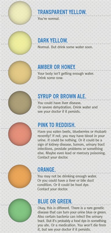 Colors Of Urine And What It Says About Your Body MojiDelano Com